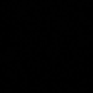 Meet your Posher, Tomas